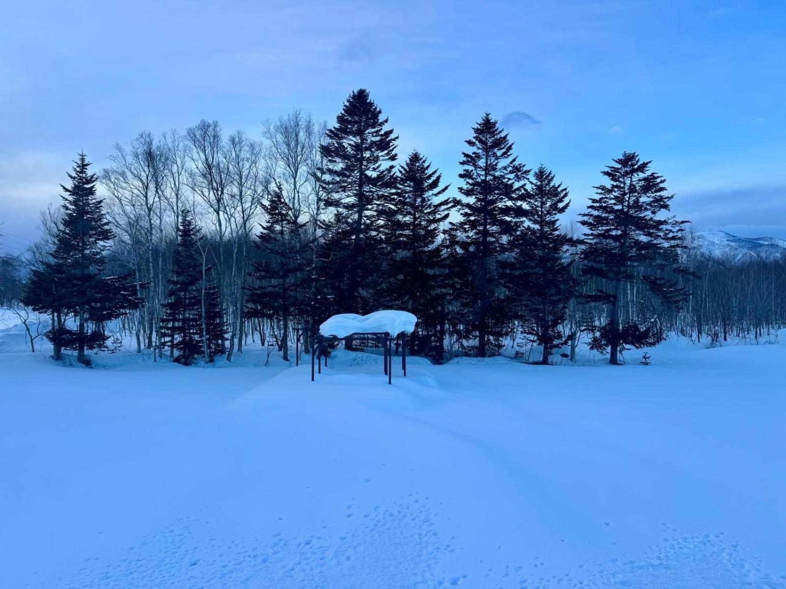 Hotel Resort Inn Niseko Exterior photo